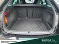 Skoda Octavia Combi RS 4x4 DSG Infotainment-Paket Business Colum Schwarz - thumbnail 10