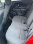 Kia Rio Rio 1,2 MPI Titan Titan Rot - thumbnail 14