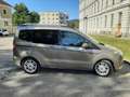 Ford Tourneo Courier Tourneo Courier 1,0 EcoBoost Titanium Titanium Beige - thumbnail 1