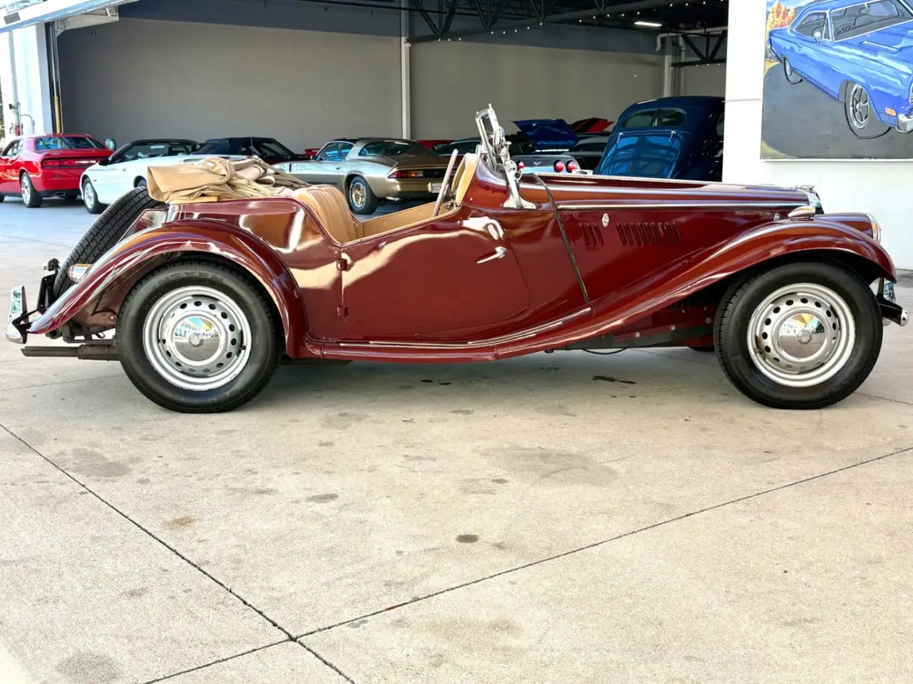 MG TF Roadster, foto 5