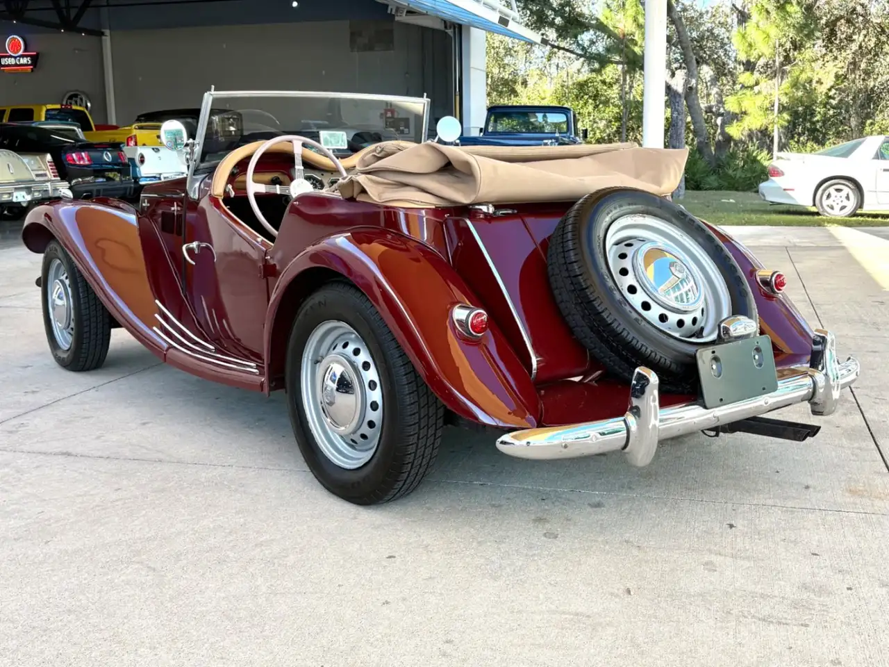 MG TF Roadster, foto 9