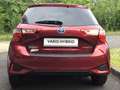 Toyota Yaris Hybrid Team Deutschland Rouge - thumbnail 13