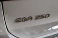 Mercedes-Benz EQA 250+ AMG Line Panorama dak Wit - thumbnail 10
