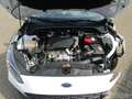 Ford Focus wagon 1.5 EcoBlue ST Line Business Blanco - thumbnail 22
