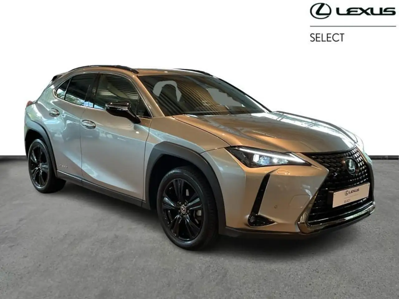 Lexus UX BLACK LINE, миниатюра 16