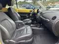 Volkswagen Beetle 2.0 Cabrio Giallo - thumbnail 12