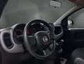 Fiat Panda City Life Hybrid 1.0 Gse 51kw (70CV) Azul - thumbnail 11