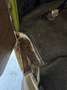 Volkswagen T2 Beige - thumbnail 13