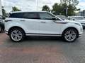 Land Rover Range Rover Evoque R-Dynamic SE P300e *1. Hand Weiß - thumbnail 6