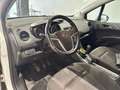 Opel Meriva 1.3 CDTI 95CV ecoFLEX Cosmo Bianco - thumbnail 11