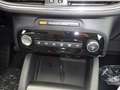 Ford Kuga Titanium 1.5L EcoBoost WiPa iACC 360Kam AHK Grün - thumbnail 14