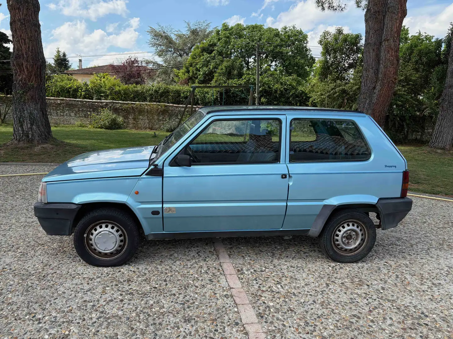 Fiat Panda Fourgonnette Blauw - 2