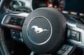 Ford Mustang GT 5,0 SHELBY LCD PREMIUM ACC Grau - thumbnail 37