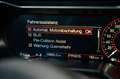 Ford Mustang GT 5,0 SHELBY LCD PREMIUM ACC Grau - thumbnail 26