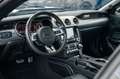 Ford Mustang GT 5,0 SHELBY LCD PREMIUM ACC Grau - thumbnail 22