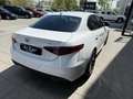 Alfa Romeo Giulia 2.2 Diesel 132kW (180CV) Super Blanco - thumbnail 12