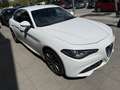 Alfa Romeo Giulia 2.2 Diesel 132kW (180CV) Super Weiß - thumbnail 11