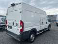Fiat Ducato Maxi L2H2*B4+*AK47*ARMORED*GEPANZERT*EUR6 Weiß - thumbnail 3