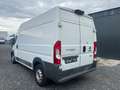 Fiat Ducato Maxi L2H2*B4+*AK47*ARMORED*GEPANZERT*EUR6 Weiß - thumbnail 5