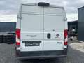 Fiat Ducato Maxi L2H2*B4+*AK47*ARMORED*GEPANZERT*EUR6 Weiß - thumbnail 4