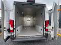 Fiat Ducato Maxi L2H2*B4+*AK47*ARMORED*GEPANZERT*EUR6 Weiß - thumbnail 9