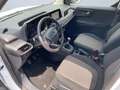 Ford Tourneo Courier 1,0 EcoBoost Trend Weiß - thumbnail 6