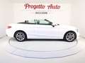 Mercedes-Benz C 180 C Cabrio 180 Executive auto SED RISC CAMERA NAVI Bianco - thumbnail 13