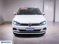 Volkswagen Polo 1.0 EVO 80 CV 5p. Comfortline BlueMotion Technolo Grigio - thumbnail 4