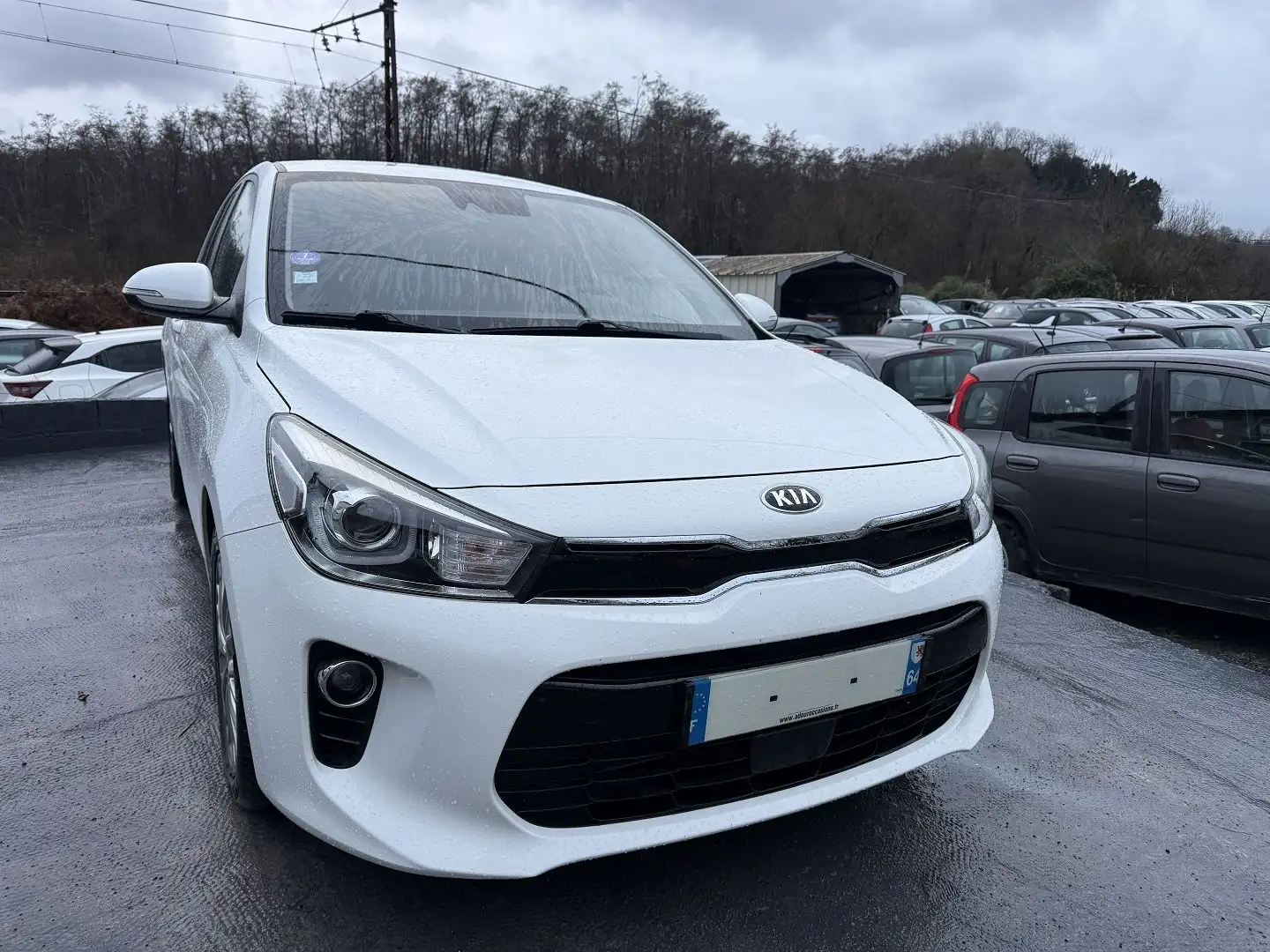Kia Rio 1.0 T-GDI 100CH ISG ACTIVE Blanc - 1