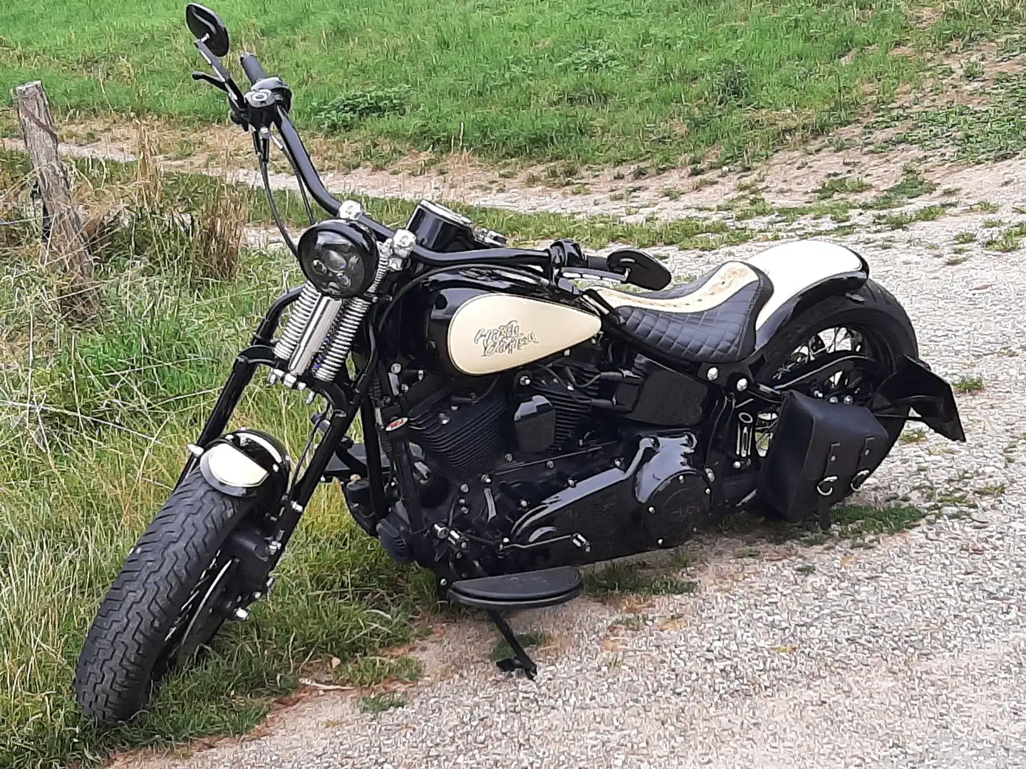 Harley-Davidson Softail Coross Bones Schwarz - 2