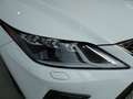 Lexus RX 350 Hybrid F Sport White - thumbnail 9