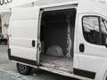 Fiat Ducato 33 2.3 MJT 130CV PM-TM Furgone - thumbnail 4