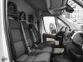 Fiat Ducato 33 2.3 MJT 130CV PM-TM Furgone - thumbnail 11