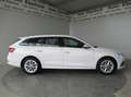 Skoda Octavia Combi 1,0 TSI e-Tec Style DSG *LED *NAVI *Sitzh... Weiß - thumbnail 6