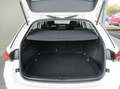 Skoda Octavia Combi 1,0 TSI e-Tec Style DSG *LED *NAVI *Sitzh... Weiß - thumbnail 24