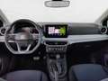 SEAT Ibiza Ibiza Road Edition 1.0 TSI 116 PS 7-Gang-DSG Gris - thumbnail 12