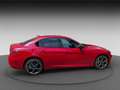 Alfa Romeo Giulia GIULIA 280PS Q4 COMPETIZIONE INKL. VELOCE-PAKET Rot - thumbnail 8