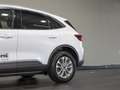 Ford Kuga Titanium 2.5 Duratec FHEV CVT Sports Utility Vehic Weiß - thumbnail 15