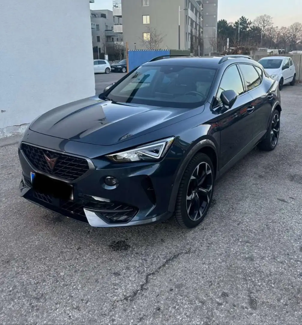 CUPRA Ateca 2,0 TSI 4Drive DSG Grau - 1