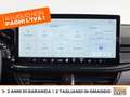 Ford Focus sw 1.0 ecoboost h st-line design 125cv powershift Blu/Azzurro - thumbnail 23