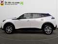 Peugeot e-2008 EV Active 50 kWh 3 Fase, 10.000 km! AVILOO Accutes Blanc - thumbnail 12