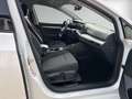 Volkswagen Golf Variant VIII Variant 1.0 eTSI DSG LED+NAVI+ACC+SIHZ Weiß - thumbnail 11