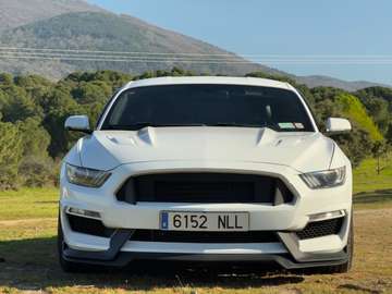 Fastback 5.0 Ti-VCT GT