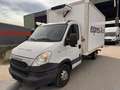 Iveco 35S13  Kühler Weiß - thumbnail 5