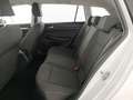 Volkswagen Golf VIII Var. 2.0 TDI DSG Life LED+MEGAPREIS Weiß - thumbnail 22