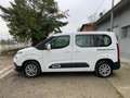 Citroen Berlingo Berlingo 1.5 hdi 100cv autocarro 5 posti Bianco - thumbnail 4