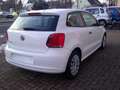 Volkswagen Polo Trendline   TÜV Neu Blanc - thumbnail 6