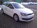 Volkswagen Polo Trendline   TÜV Neu Blanc - thumbnail 5