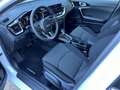 Kia Ceed SW / cee'd SW 1.5 T-GDI DCT / UPE: 34.960,- € / ULTIMATE EDIT. S Blanc - thumbnail 8