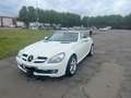 Mercedes-Benz SLK 200 SLK 200 Kompressor Automatik Sport Edition Weiß - thumbnail 18